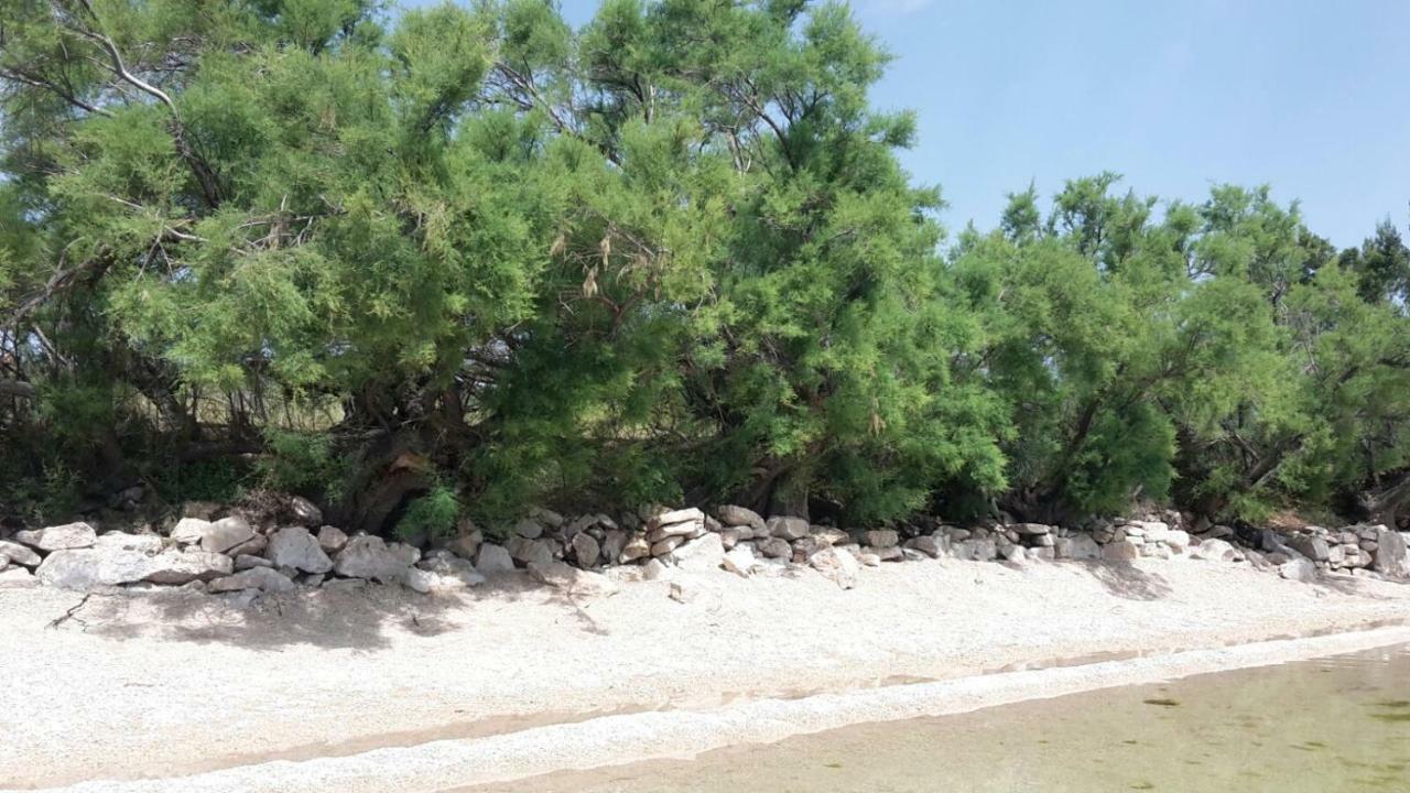Apartmani Neva, Pridraga Εξωτερικό φωτογραφία