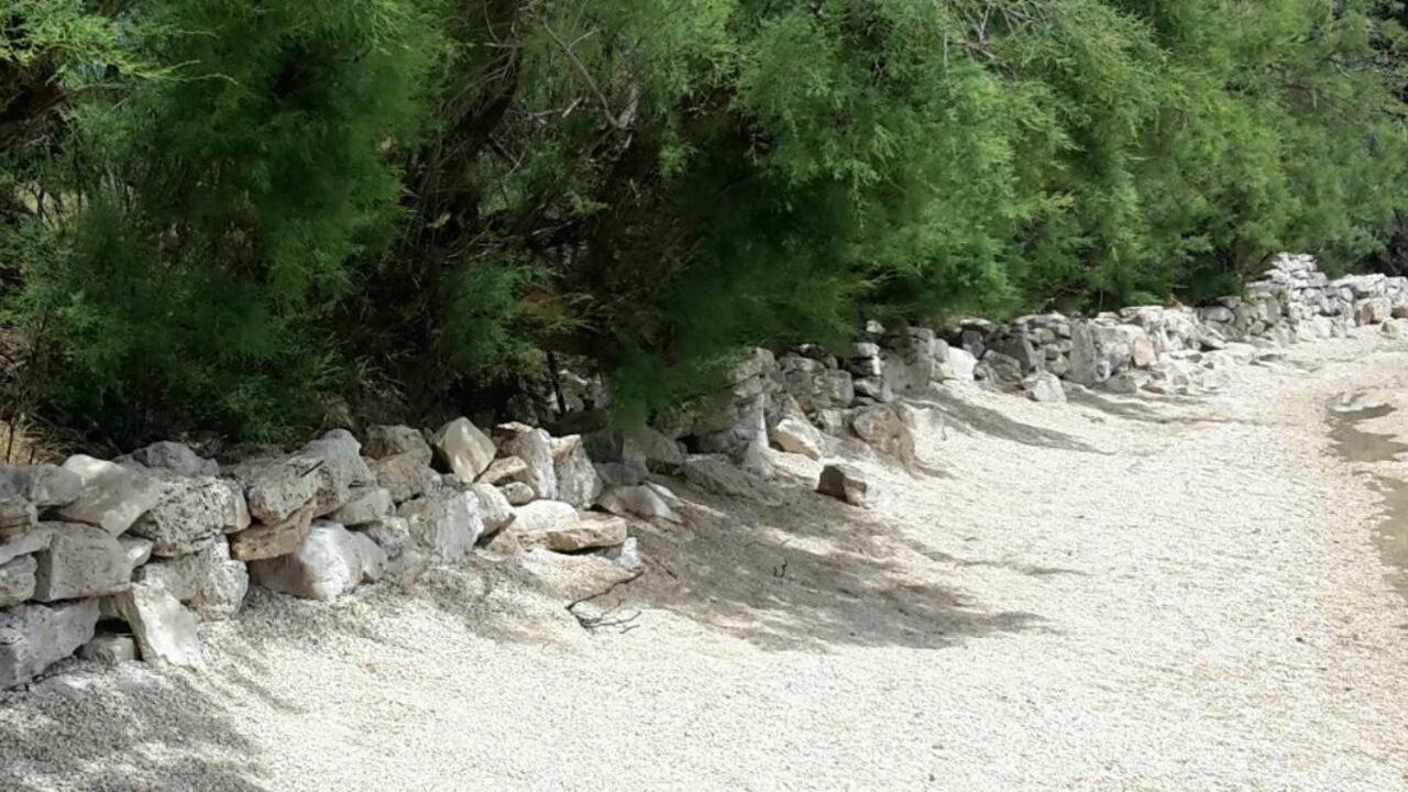 Apartmani Neva, Pridraga Εξωτερικό φωτογραφία